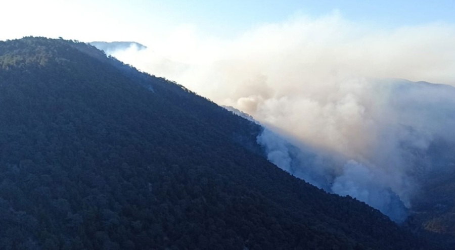 Bolu'daki orman yangınına havadan müdahale ediliyor