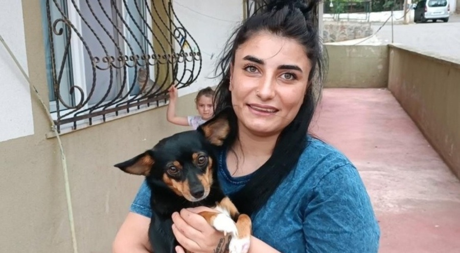 Köpekleri besleyen hamile kadın dönercinin saldırısına uğradı!