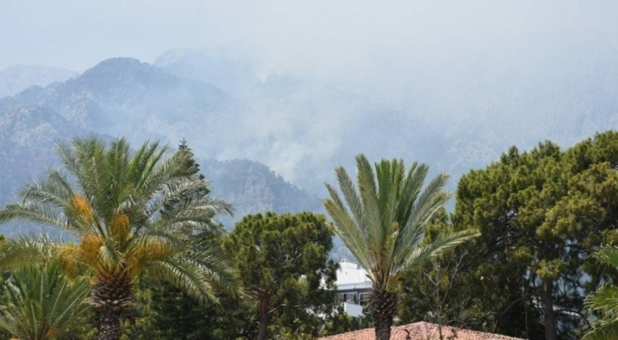 Kemer'deki orman yangını kontrol altında