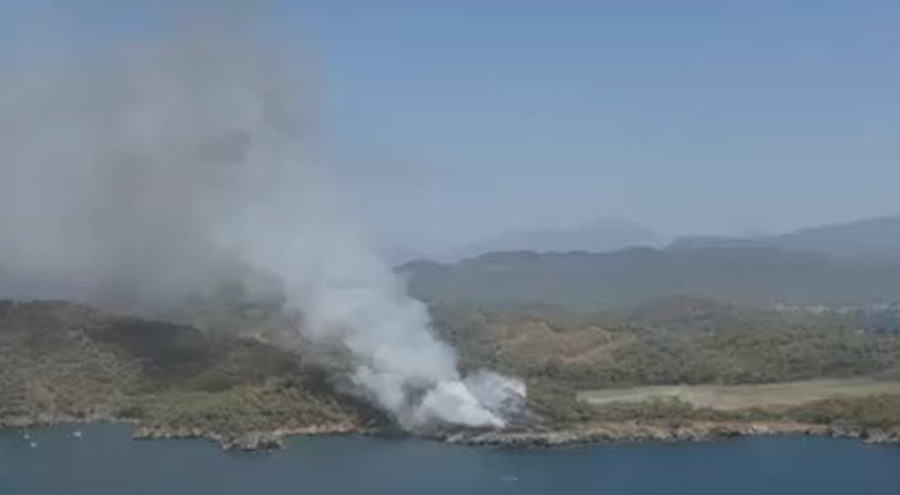 Muğla'nın ormanı yanıyor