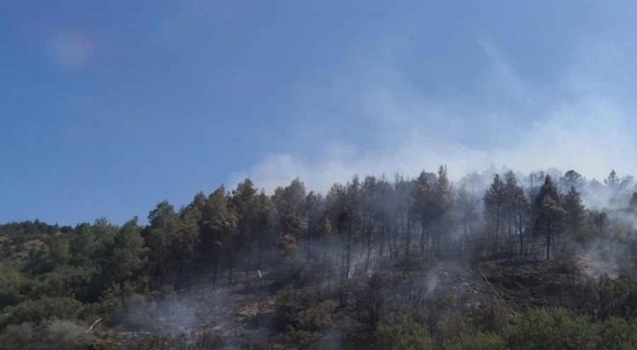 Burdur'da orman yangını