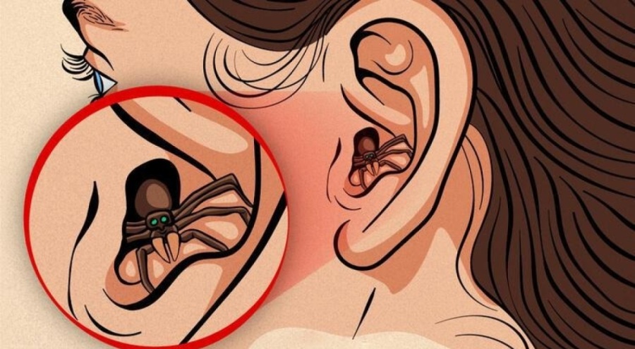 Kulağa kaçan böcekler beyne kadar ilerler mi?