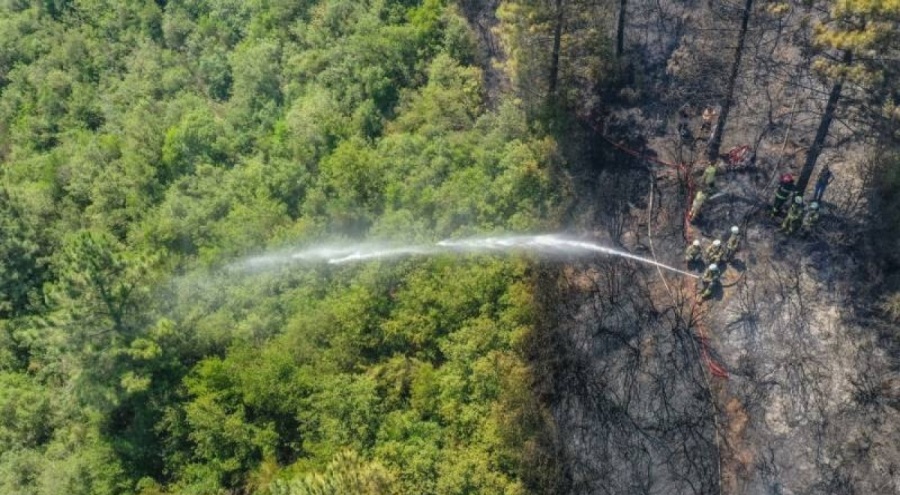Sultangazi'deki şehir ormanlarına giriş yasaklandı