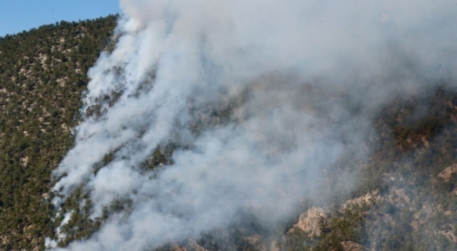 Bolu'daki orman yangını kontrol altında