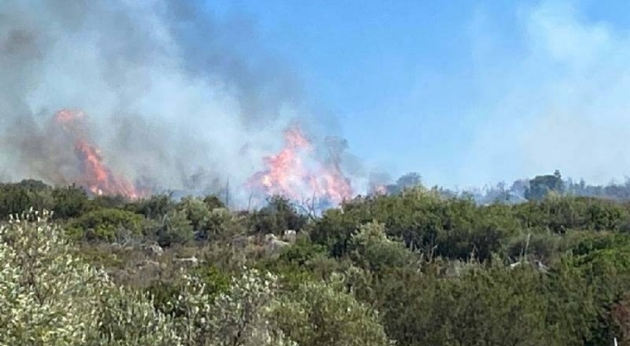 İzmir Çeşme'de orman yangını çıktı