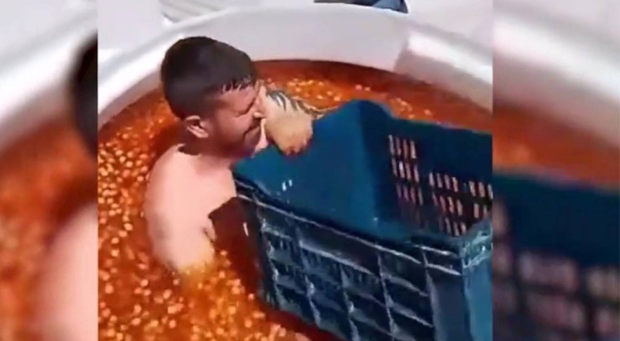 Zeytin tankının içine giren üretici serbest!