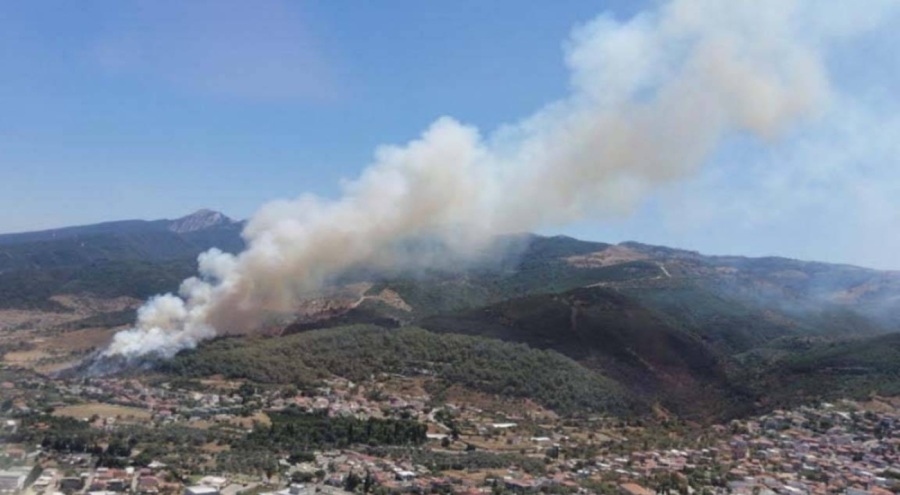 İzmir'de 2 ilçede yangın çıktı