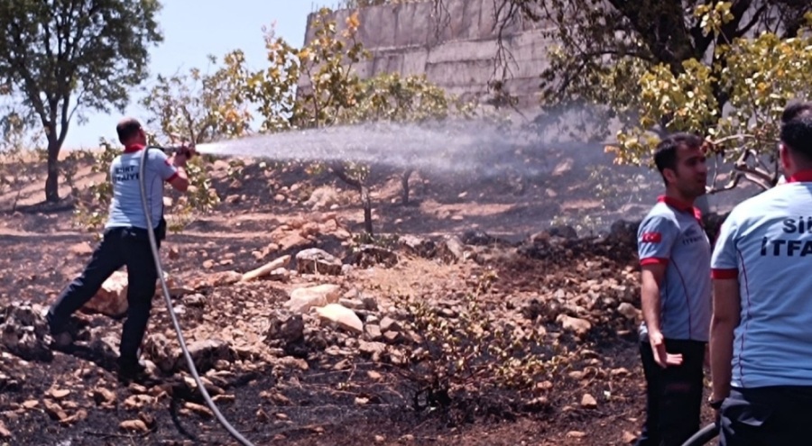 Fıstık bahçesi cayır cayır yandı!
