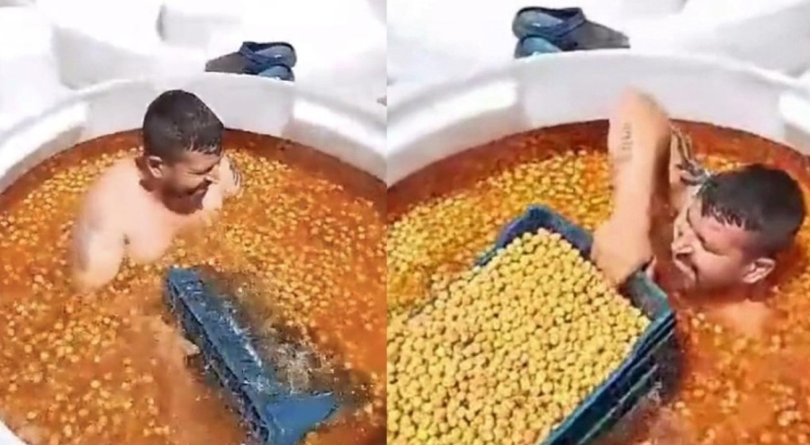 Zeytin tankında çıplak sepetleme yapan zanlı tutuklandı