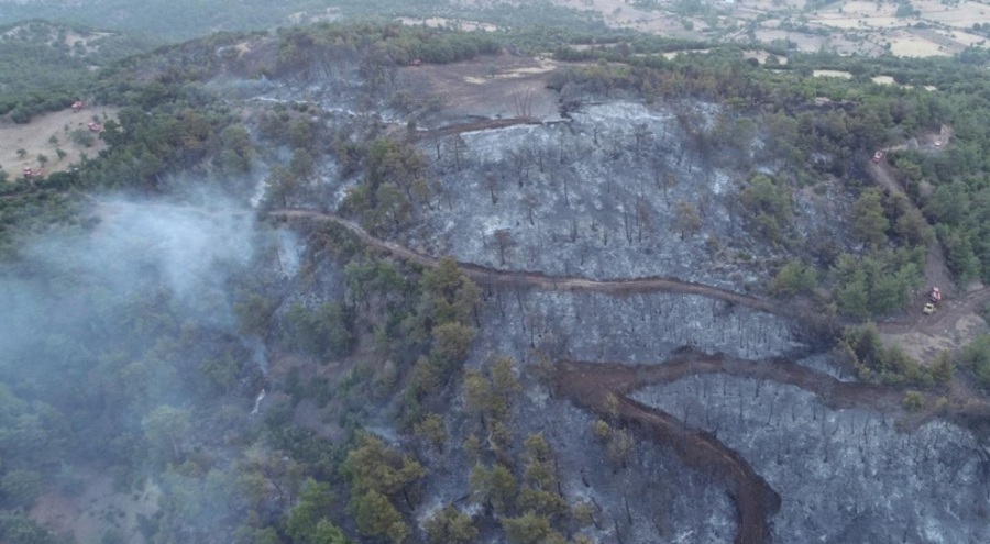 Çanakkale'deki orman yangınında 2 bin 500 hektar yandı