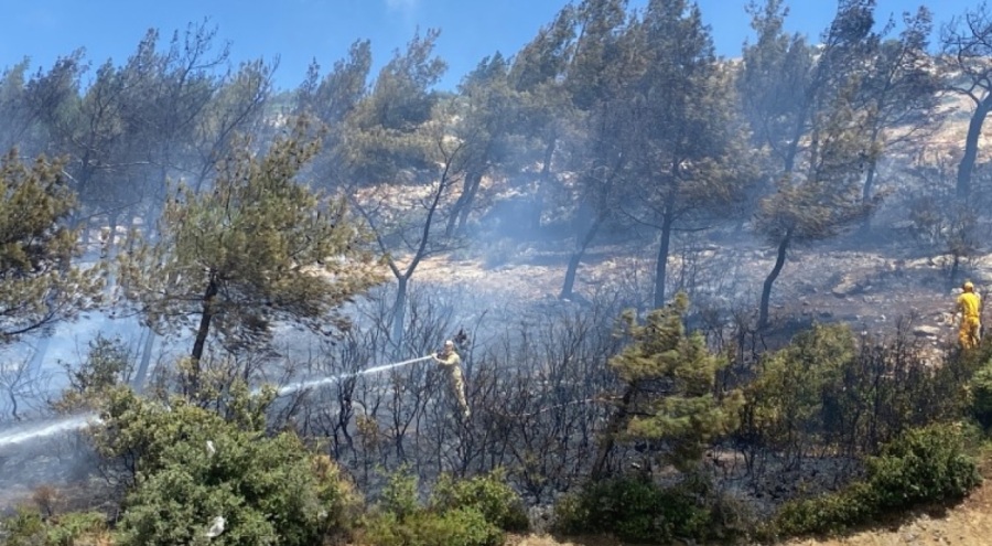 Hatay'daki yangında 5 dönüm arazi zarar gördü