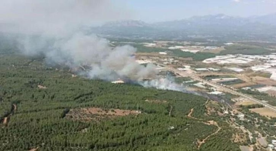 Antalya'da eşzamanlı iki noktada orman yangını
