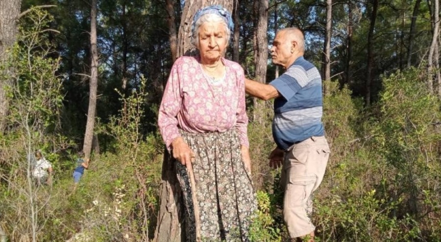 TOD Başkanı Özkara: Akbelen'de 65 bin ağacın kesildiği anlaşılıyor