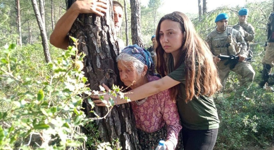 Akbelen'de valilik kararına rağmen ağaç kesimi devam etti