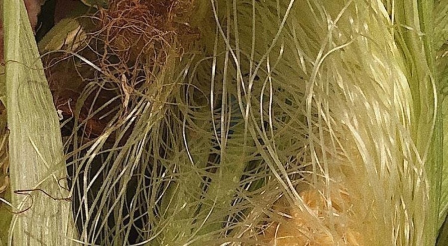 Bir daha asla çöpe atmayacaksınız, bunu yiyenin vücuduna hastalık girmiyor!