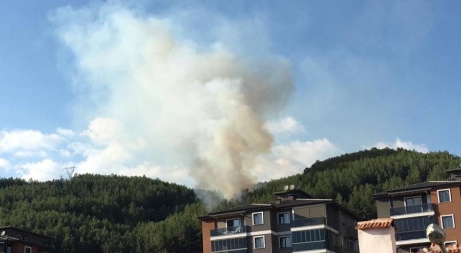 Muğla'da orman yangını çıktı