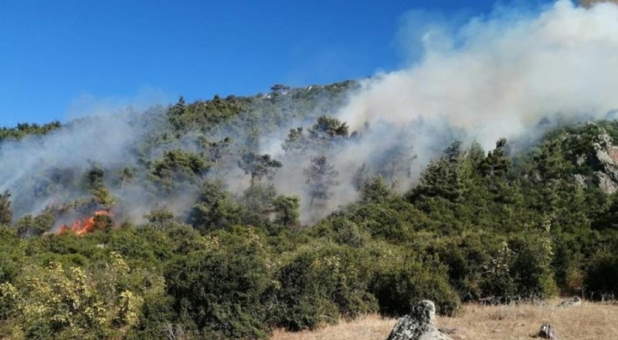 Manisa ve Muğla'da orman yangını çıktı