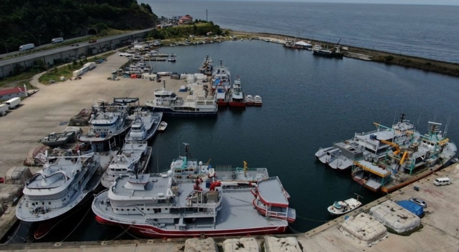 1 Eylül'de av sezonu başlayacak! Hamsi bollukta, palamuttan iz yok