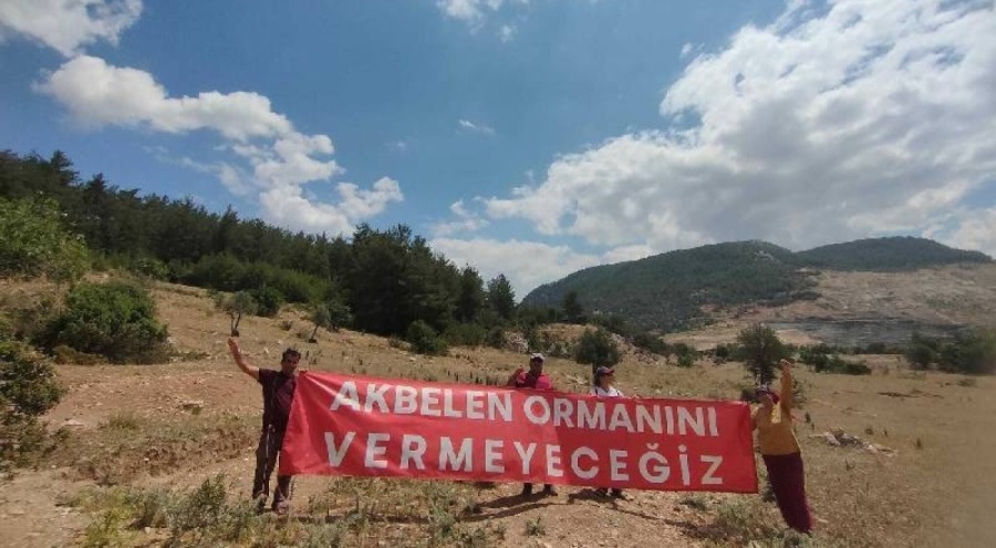 İstanbul Tabip Odası: Akbelen Ormanı'na sahip çıkanlara uygulanan müdahaleler kabul edilemez