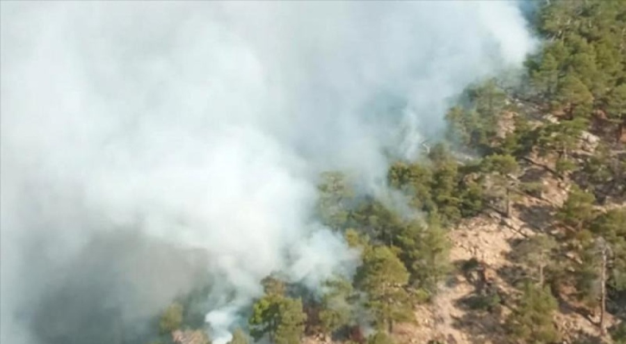 Eyyam-ı bahur orman yangınlarını tetikleyecek!