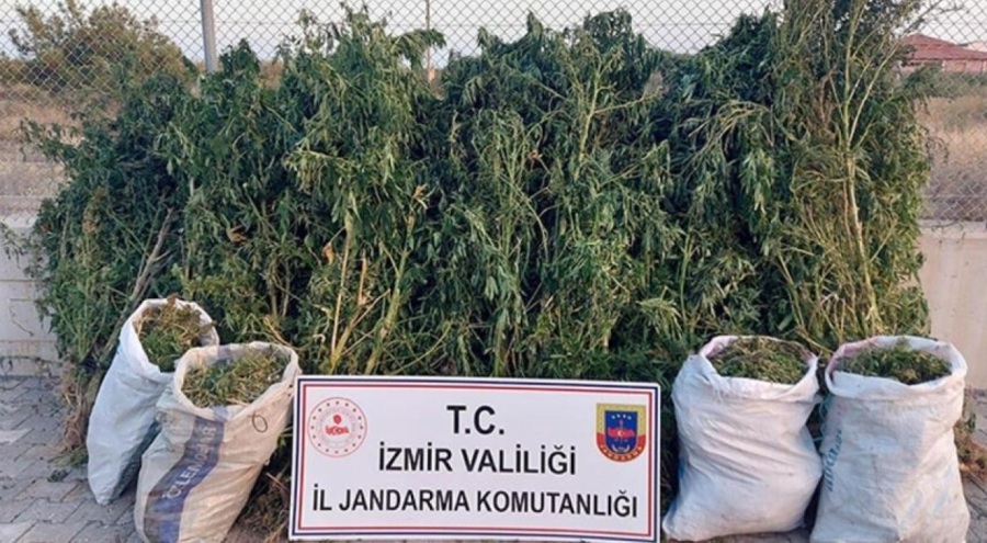 İzmir'de çok sayıda uyuşturucu madde ele geçirildi