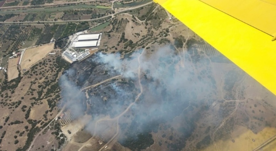 İzmir'de korkutan yangın!