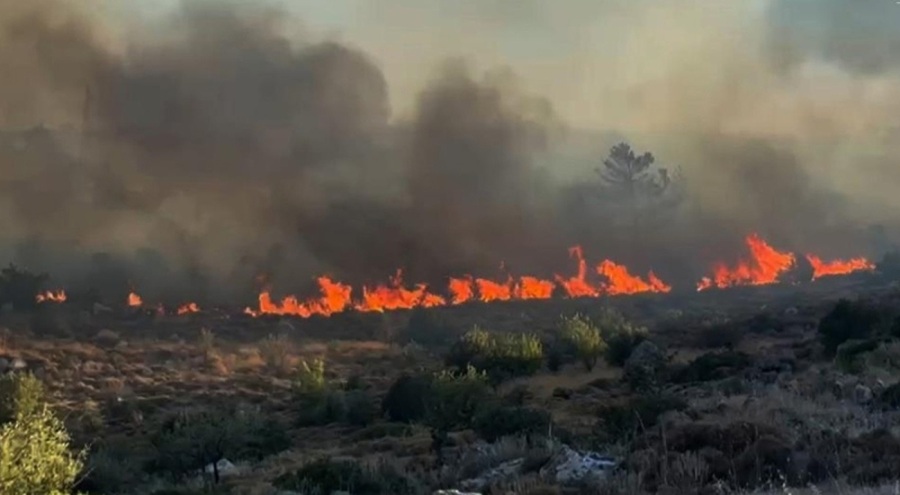 Bodrum Türkbükü'nde otluk alanda yangın!
