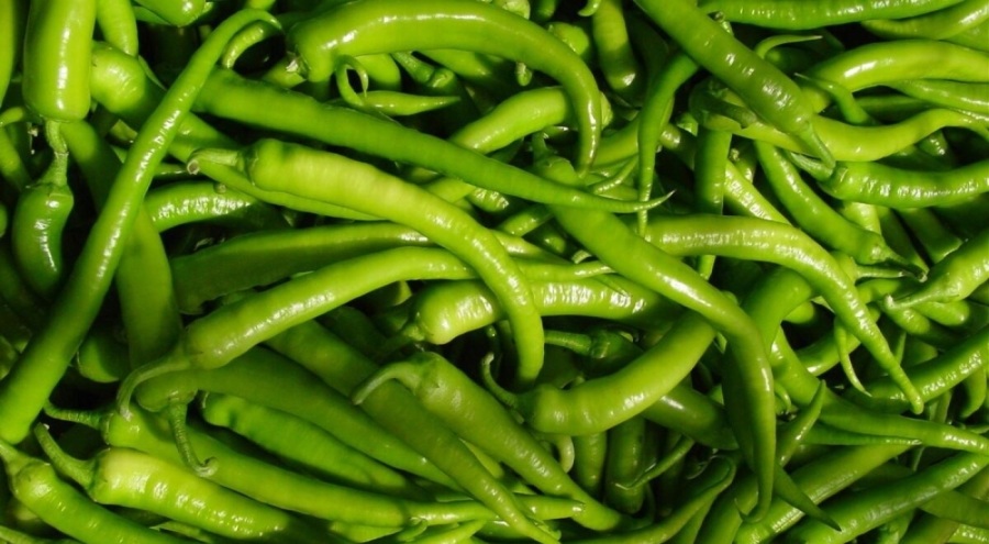 Sivri biber zam şampiyonu oldu!