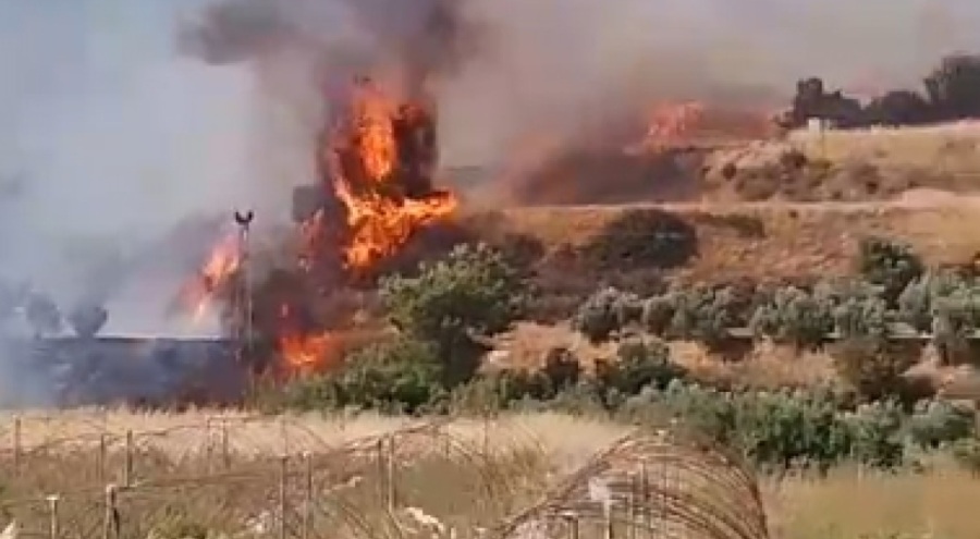 Hatay'da, zeytinlikte çıkan yangın ormana sıçradı