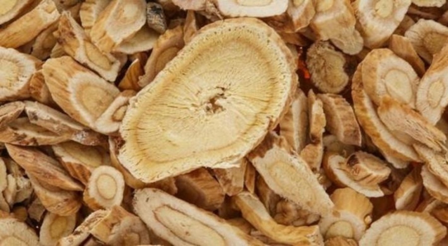 Kaz Dağları'nda yetişiyor ama değerini Çinliler biliyor!