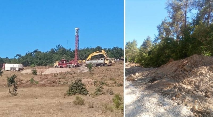 Cengiz Holding, Kazdağları'nda ağaçları kesmeye başladı