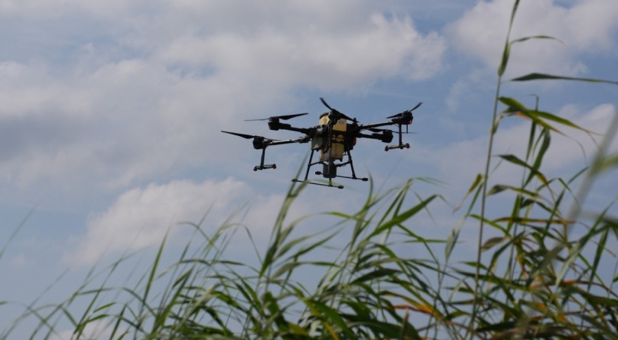 Bursa'da drone ile ilaçlama
