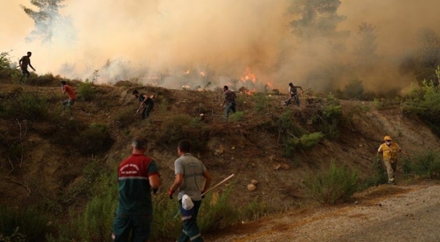 Yangınlar nedeniyle yüzde 68'i orman olan Muğla'da oran yüzde 60'a düştü