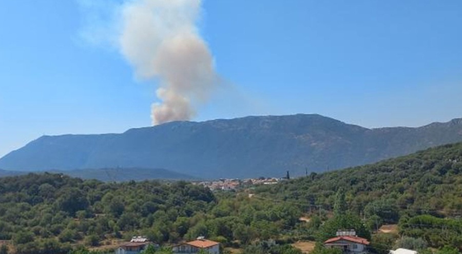 Antalya'da korkutan orman yangını!