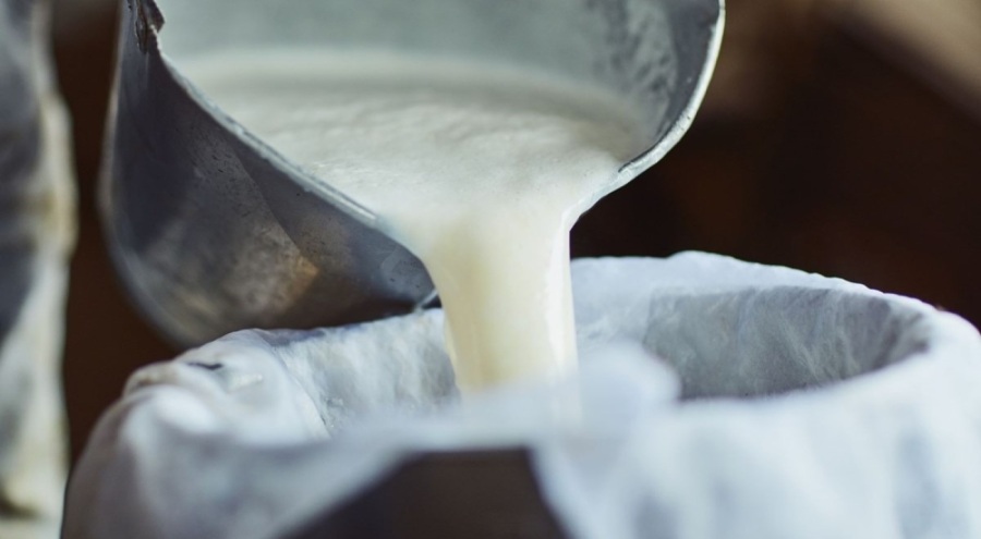 Üretici birlikleri 4 kentte süt fiyatına zam yaptı