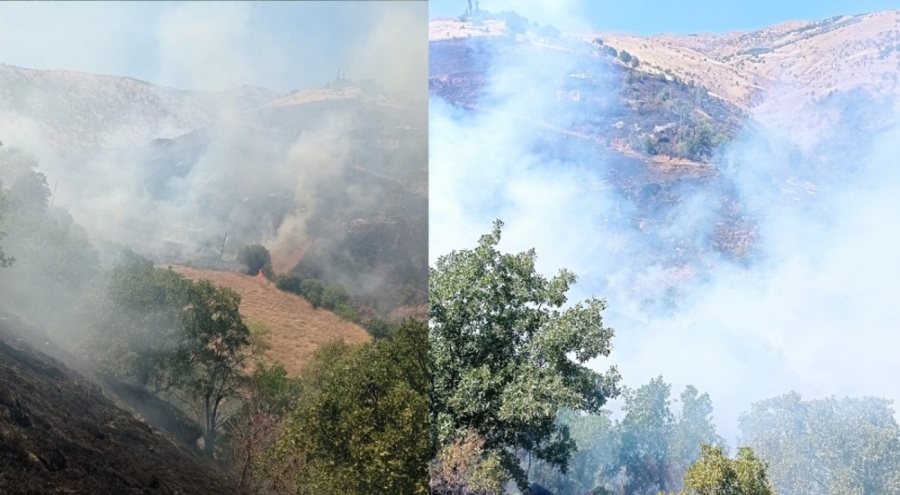 Malatya'da 500 hektarlık alan kül oldu