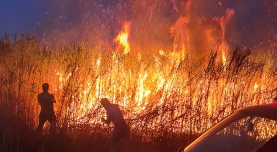 Siirt'te sazlık yangını çıktı