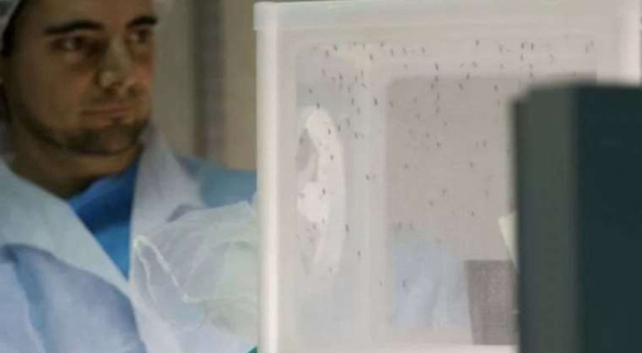 Sıtmayla mücadelede şans eseri keşif