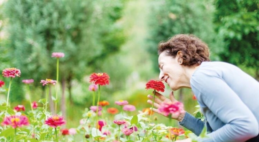 Doğal kokular beyin sağlığına iyi geliyor