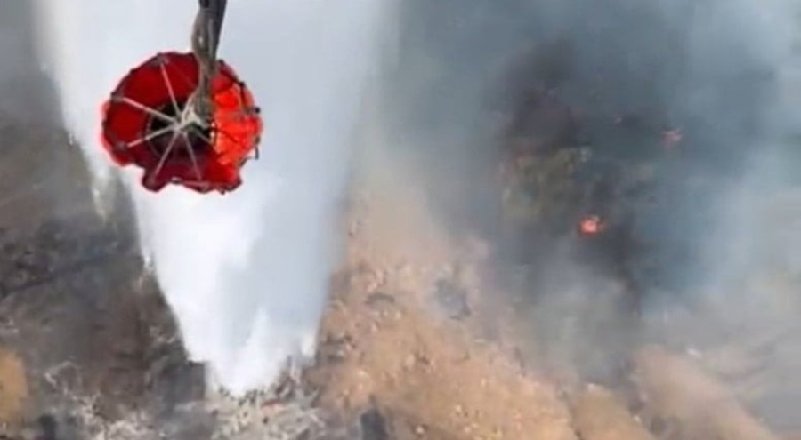 Balıkesir Burhaniye'de orman yangını