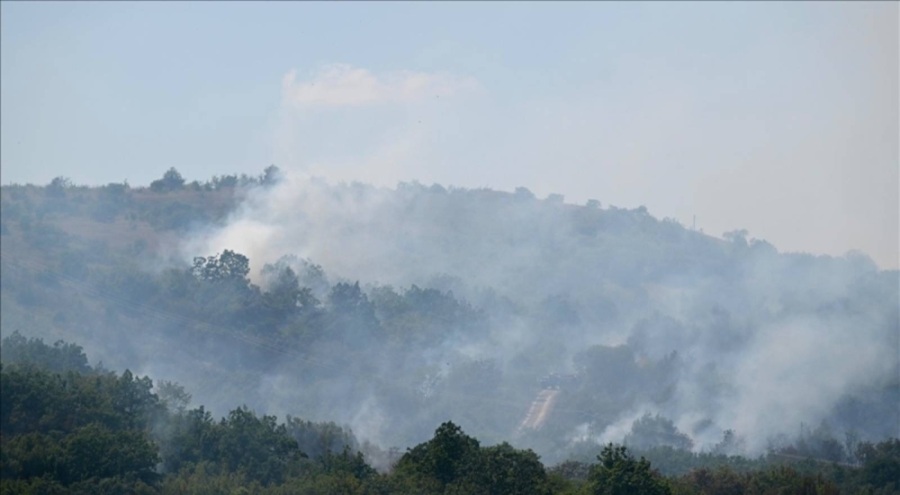 Türkiye-Bulgaristan sınırında orman yangını çıktı!