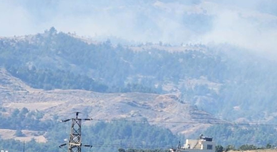 Kahramanmaraş'ta orman yangını çıktı