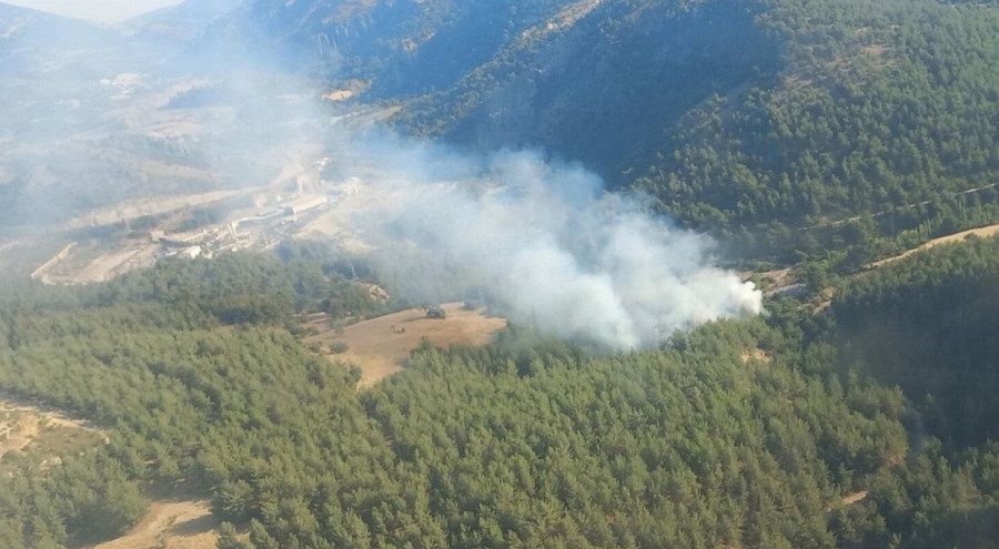 İzmir'de orman yangını çıktı