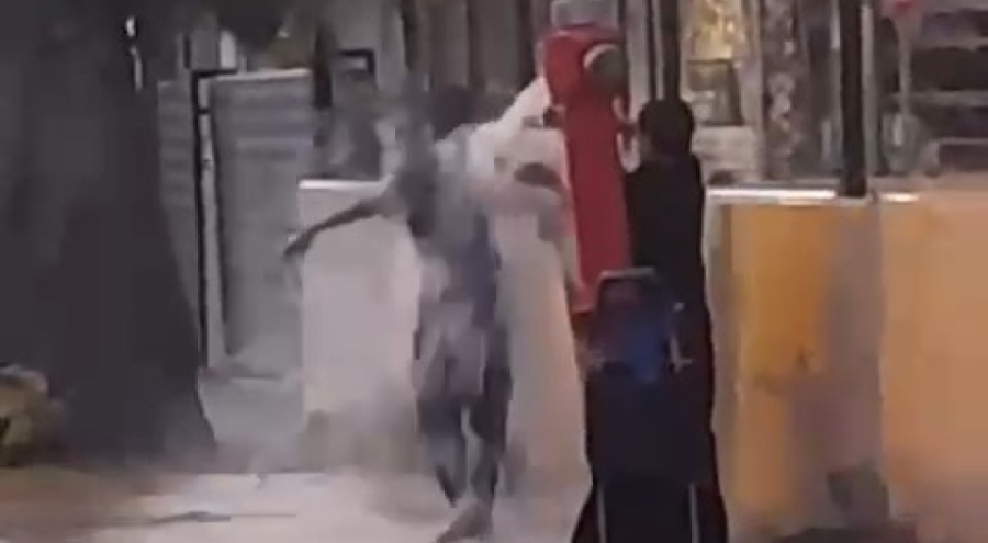 Bursa'da sıcak hava hem vatandaşları hem de hayvanları bunalttı