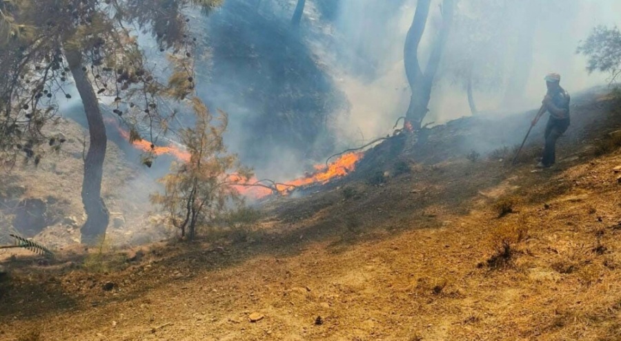 Balıkesir yangınında hasar gün ağarınca ortaya çıktı