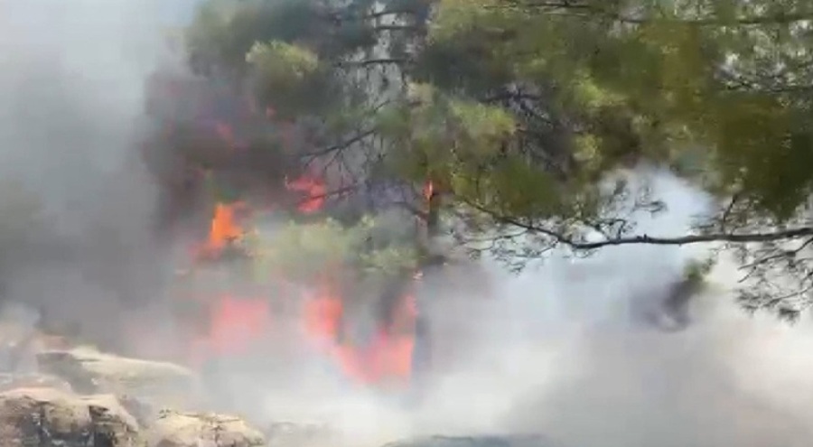 Adıyaman'da orman yangını