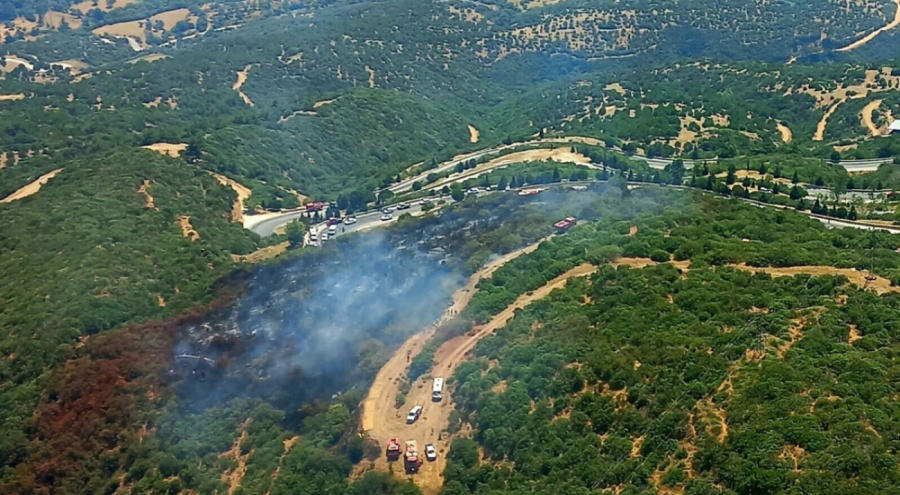 İzmir'deki orman yangını kontrol altına alındı