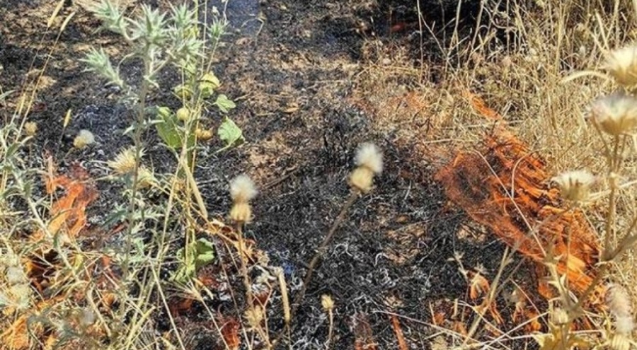 Bahçesindeki otları yakmak isterken yanlışlıkla kendini yaktı