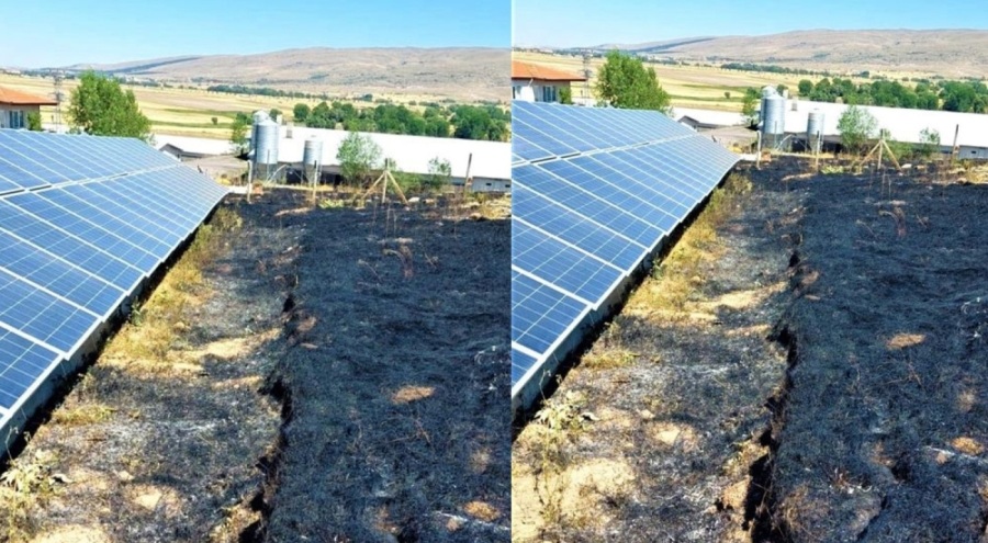 Çöp yakmak isterken 20 dönüm ekili alan küle döndü