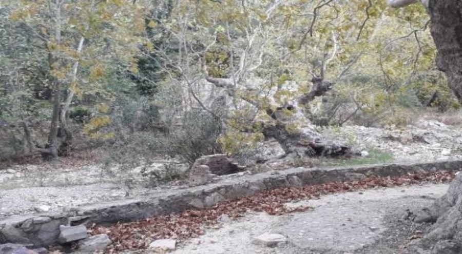 Bodrum'un su kaynaklarında kuraklık tehlikesi